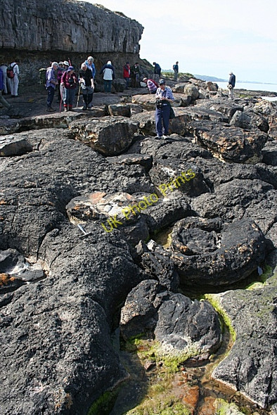 Photo 6"x4" Examining the Rocks Red Wharf Bay c2010