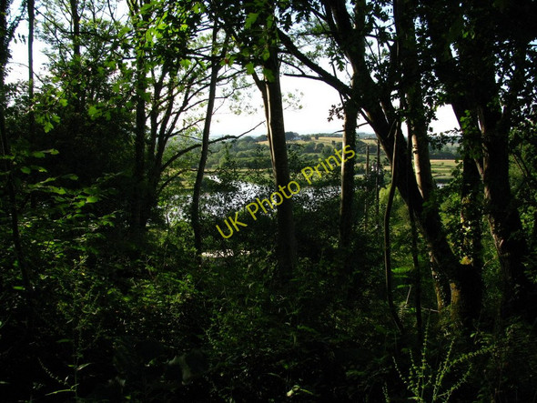Photo 6"x4" End of the Afon Llwyd Caerleon or Caerllion c2010
