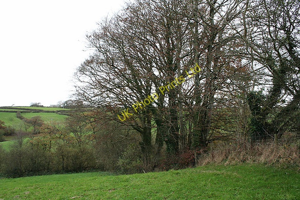 Photo 6"x4" St Giles in the Wood: near Higher Barndown Dodscott c2007