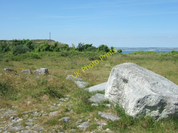 Photo 6"x4" Scrubland, Grove Fortuneswell c2010