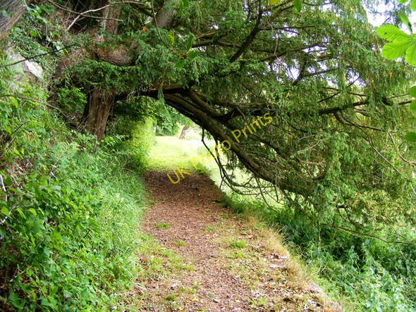 Photo 6"x4" A Walkway At Kilravock Castle Clephanton\/NH8150 c2010