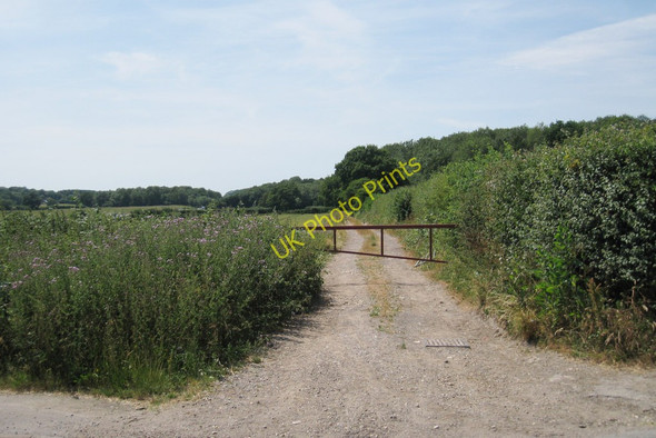 Photo 6"x4" Pilgrims Way off London Road Force Green c2010