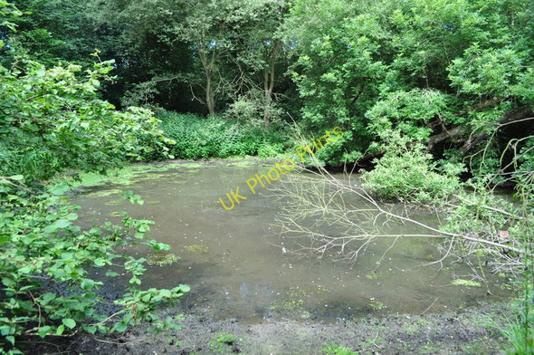 Photo 6"x4" Pond in Wayland Wood Watton\/TF9100 c2010