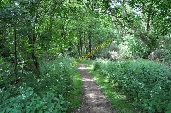 Photo 6"x4" Former Trackbed Pockthorpe\/TL9196 c2010
