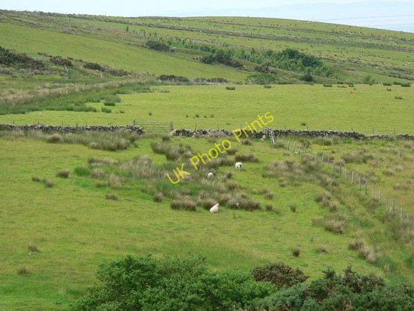 Photo 6"x4" Moorland grazing Killean\/NR6944 c2010
