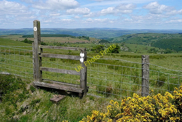 Photo 6"x4" Footpath into the Wye valley Craswall\/SO2835 c2010