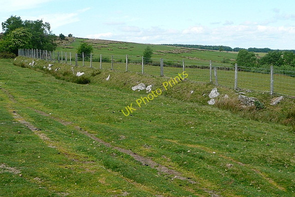 Photo 6"x4" Access land on Cefn Hill Craswall\/SO2835 c2010