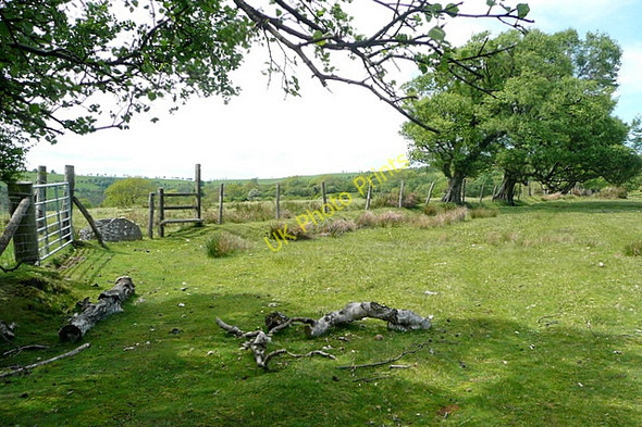 Photo 6"x4" Bridleway to Craswall Priory Craswall\/SO2835 c2010