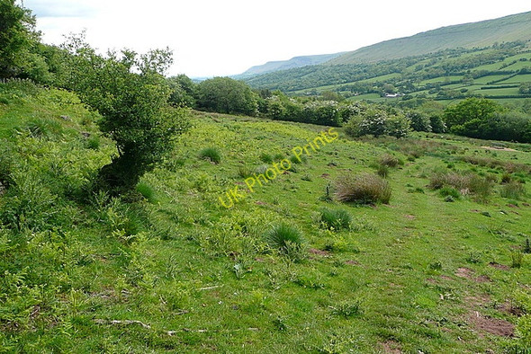 Photo 6"x4" Towards Court Farm Craswall\/SO2835 c2010
