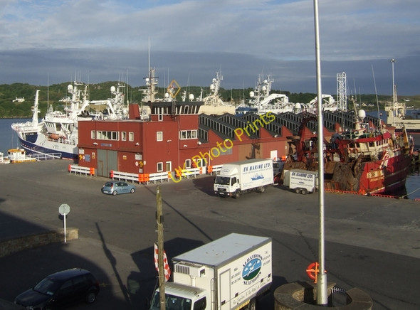 Photo 6"x4" Fish market at Killybegs Harbour Killybegs c2010