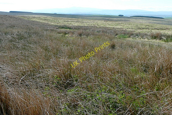 Photo 6"x4" From Mynydd Bwlch-y-groes Llandeilo'r-Fan c2010