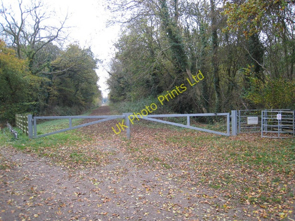 Photo 6"x4" Legbourne Wood Legbourne c2007