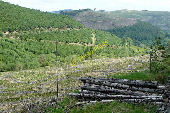 Photo 6"x4" Towards Pen y Ddinas Llanwrtyd c2010