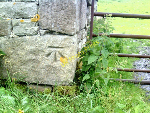 Photo 6"x4" Benchmark on barn at Appersett Appersett c2010