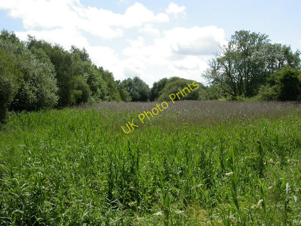 Photo 6"x4" Eastleigh, wetlands Eastleigh\/SU4519 c2010