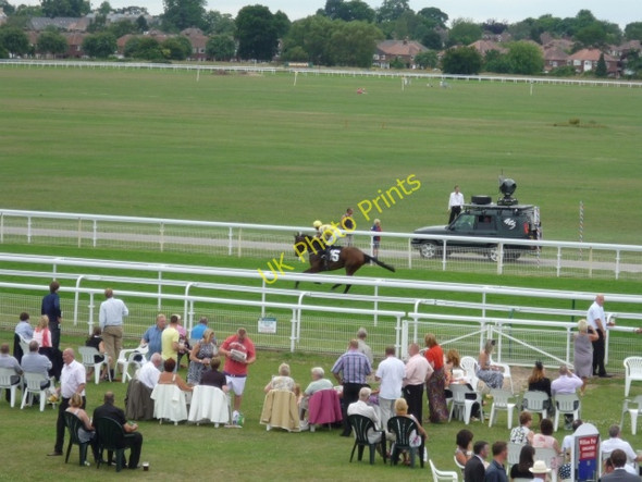 Photo 6"x4" Horse and camera car York\/SE5951 c2010