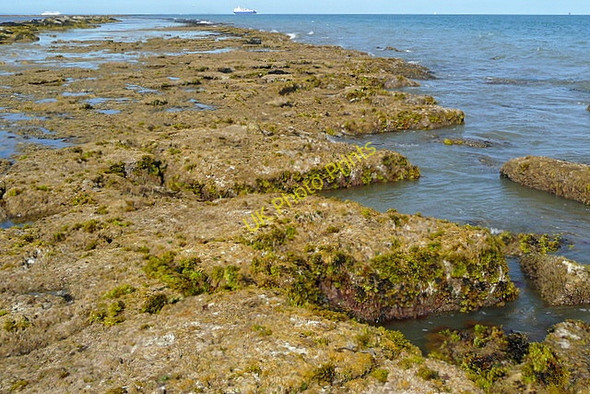 Photo 6"x4" Long Ledge Foreland Fields c2010