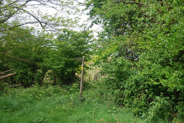 Photo 6"x4" Sussex Border Path signpost, Long Plantation Sharpthorne c2010