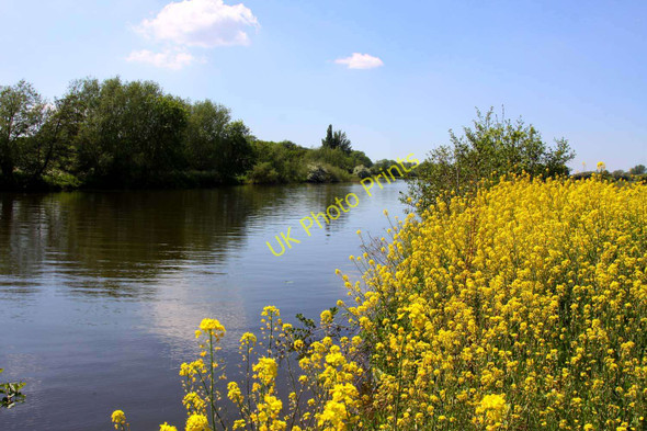 Photo 6"x4" The River Thames at Benson Wallingford c2010