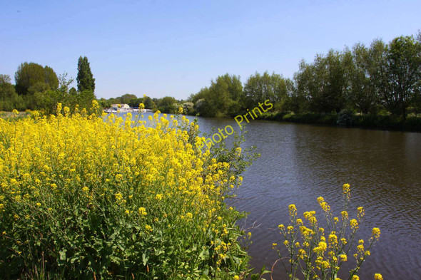 Photo 6"x4" The River Thames at Benson Wallingford c2010