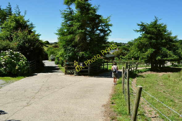 Photo 6"x4" The end of Dibbon's Lane at Lower Campscott Ilfracombe c2010