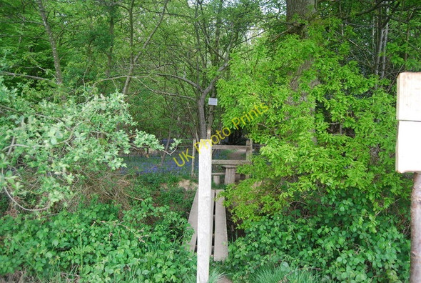 Photo 6"x4" Sussex Ouse Valley Path entering Wapsbourne Wood North Chailey c2010