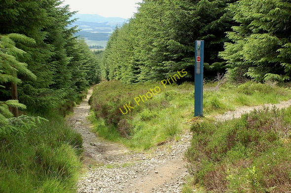 Photo 6"x4" Track junction, Towers Trail Williamslee c2010