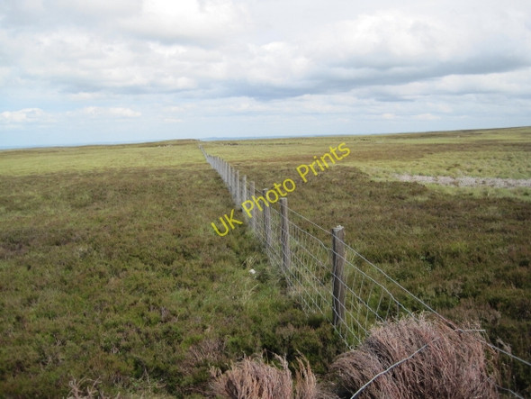 Photo 6"x4" Looking towards Lough Hill Whitfield Lough c2010