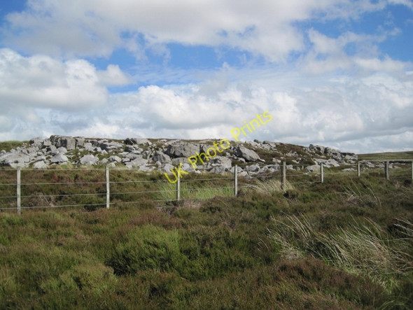 Photo 6"x4" Peas Crag Eals\/NY6755 c2010