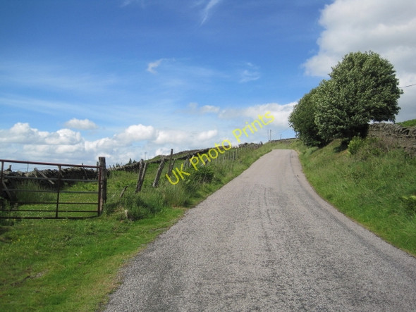 Photo 6"x4" Tows Bank Eals\/NY6755 c2010