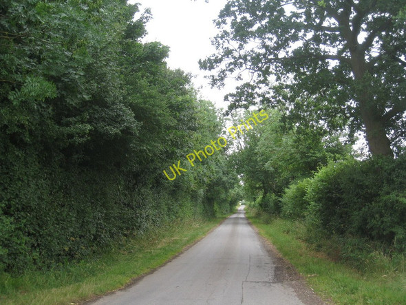 Photo 6"x4" Lane near Pepperdale Farm Howsham\/TA0404 c2010