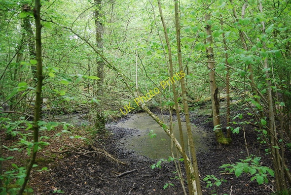 Photo 6"x4" Muddy pond in Pain's Wood Cinder Hill\/TQ3729 c2010