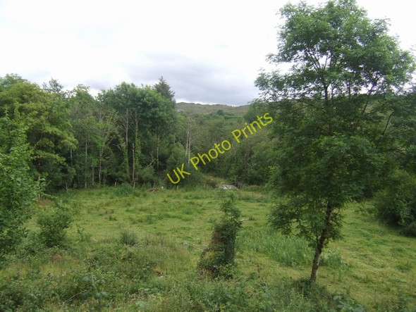 Photo 6"x4" Rough pasture near Carricktemple Graveyard Kilmore\/G7835 c2010