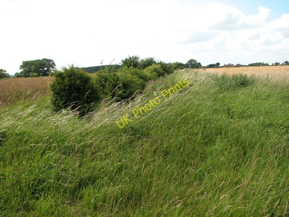 Photo 6"x4" Overgrown ditch separating two cultivated fields Sporle c2010