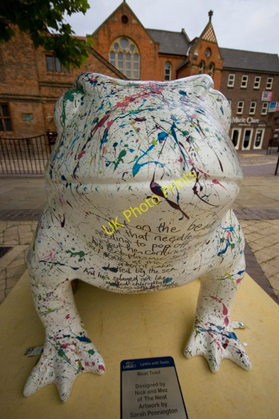 Photo 6"x4" Larkin toad, Hull (13) Kingston upon Hull c2010