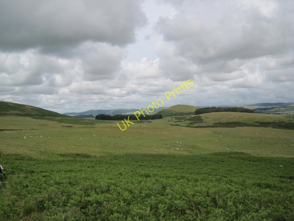 Photo 6"x4" Bridleway towards Gibb's Hill Eslington Park c2010