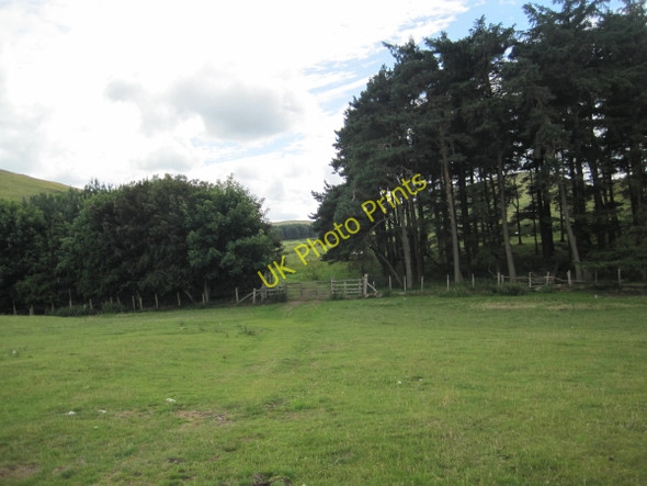 Photo 6"x4" Footpath through Fawdon Plantation Fawdon\/NU0315 c2010