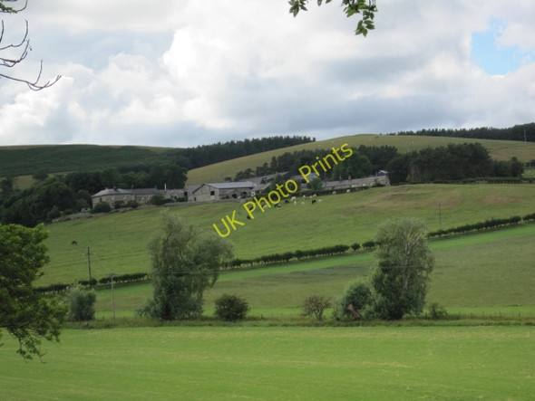 Photo 6"x4" Fawdon Farm Fawdon\/NU0315 c2010