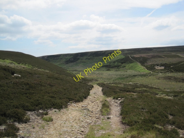Photo 6"x4" Bridleway and Rowantree Cleugh Sinderhope c2010