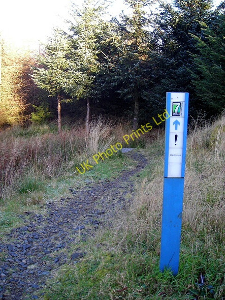 Photo 6"x4" Cycle Trail in Newcastleton Forest Whithaugh c2007