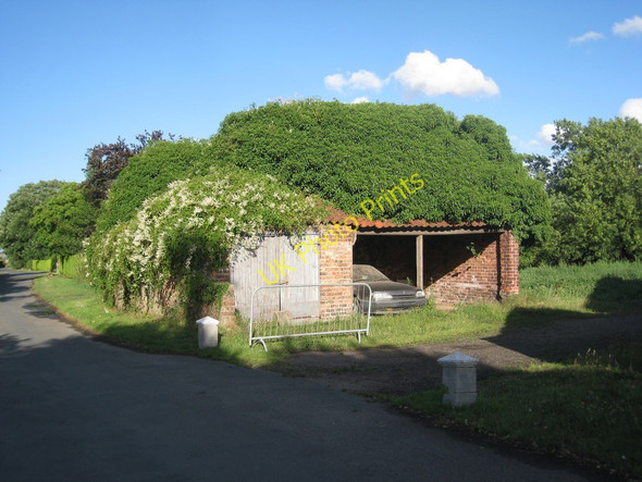 Photo 6"x4" Ivy covered  barn Adlingfleet c2010