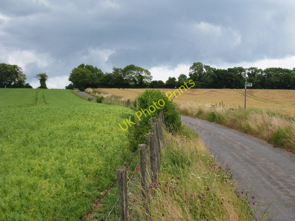 Photo 6"x4" Westcourt Lane Woolage Green c2010