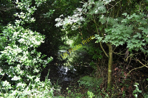 Photo 6"x4" A pool of water at Little Shelfin Farm Trimstone c2010