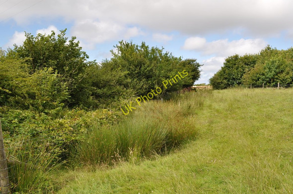 Photo 6"x4" The footpath from Lower Shelfin Farm skirting around a pool of water Trimstone c2010