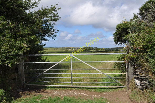 Photo 6"x4" The gate at the other side of the field Trimstone c2010