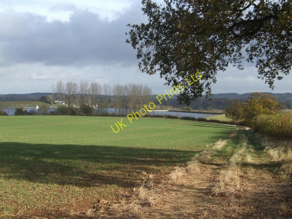 Photo 6"x4" Footpath across Spadeley Rough Chelmarsh c2007
