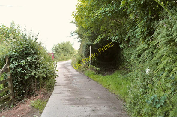 Photo 6"x4" The footpath and track which ran parallel, converge at Bickenbridge Ossaborough c2010