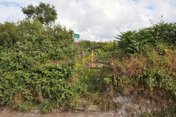 Photo 6"x4" A footpath to Higher Campscott Ilfracombe c2010