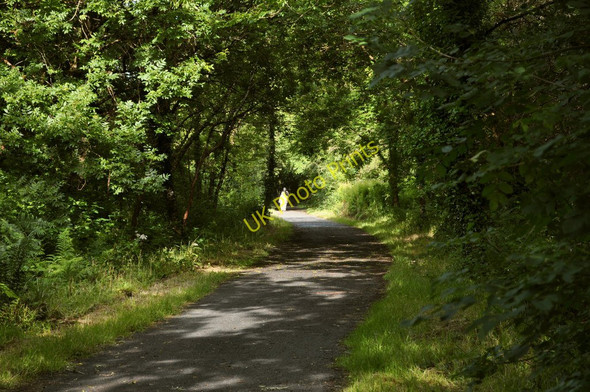 Photo 6"x4" National Cycle Route 27 heading east near the Slade Reservoir Trimstone c2010