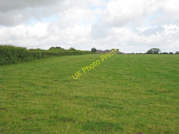 Photo 6"x4" Field off Capel Street Satmar c2010